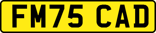 FM75CAD