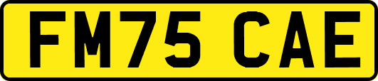 FM75CAE