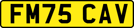 FM75CAV