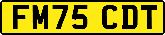 FM75CDT