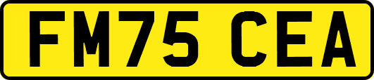 FM75CEA