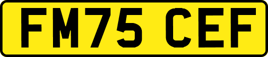 FM75CEF