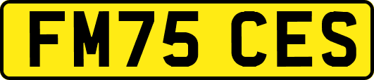 FM75CES