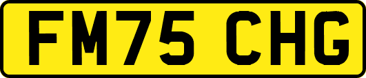 FM75CHG