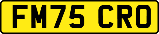 FM75CRO