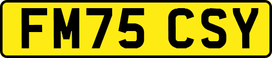 FM75CSY