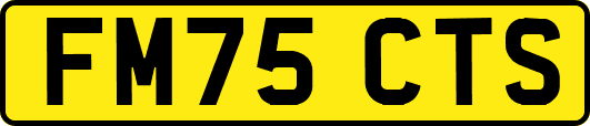 FM75CTS