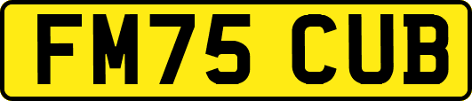 FM75CUB