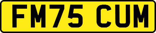 FM75CUM