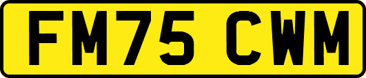 FM75CWM