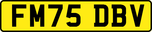 FM75DBV