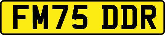 FM75DDR