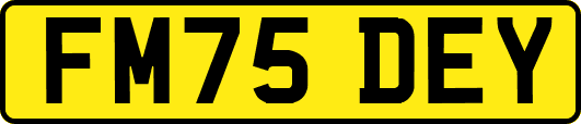 FM75DEY