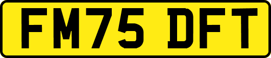 FM75DFT