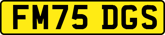 FM75DGS
