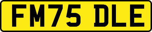 FM75DLE