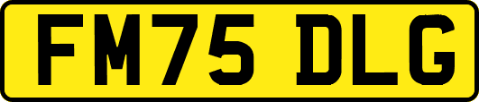 FM75DLG