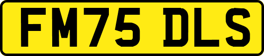 FM75DLS