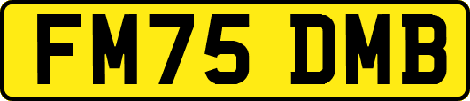 FM75DMB