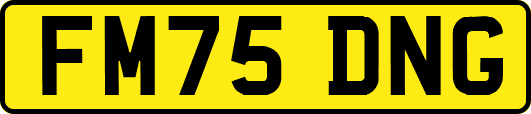 FM75DNG