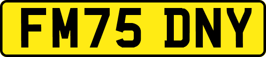 FM75DNY