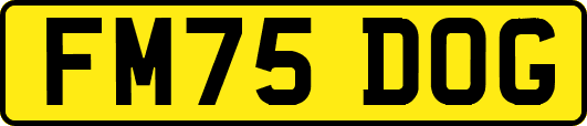 FM75DOG