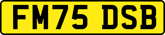 FM75DSB