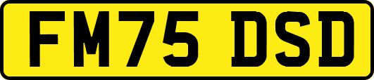 FM75DSD