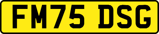 FM75DSG