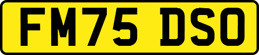 FM75DSO