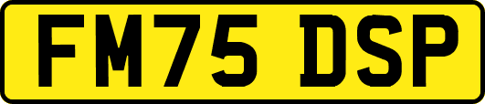 FM75DSP