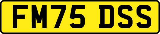 FM75DSS