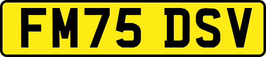 FM75DSV