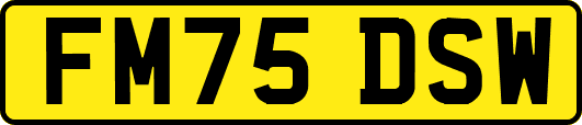 FM75DSW