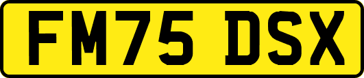 FM75DSX