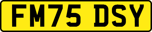 FM75DSY