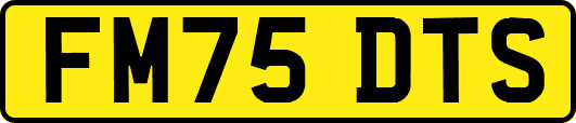 FM75DTS
