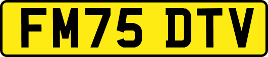 FM75DTV