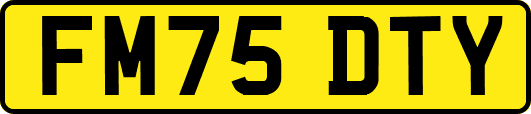 FM75DTY
