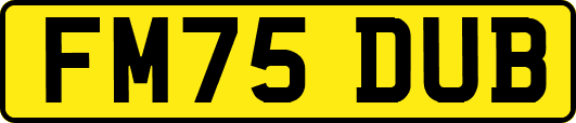 FM75DUB