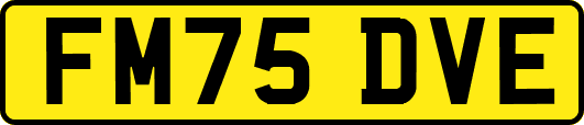 FM75DVE