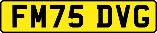 FM75DVG