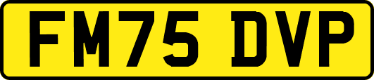 FM75DVP