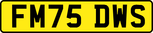 FM75DWS