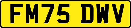 FM75DWV