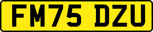 FM75DZU