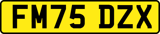 FM75DZX