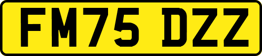 FM75DZZ