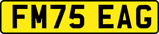 FM75EAG