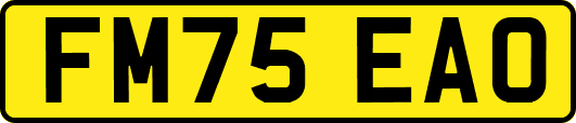 FM75EAO